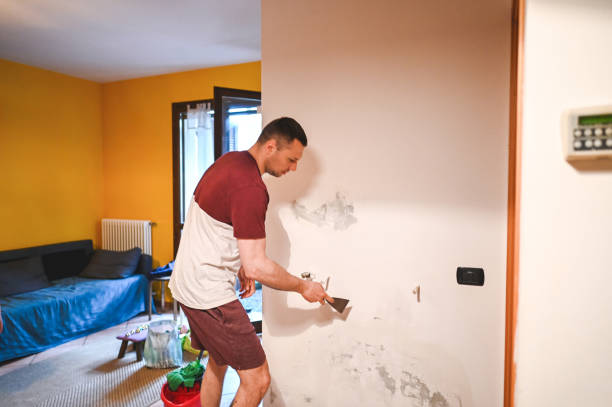 Best Commercial Mold Remediation in Taylor Creek, OH